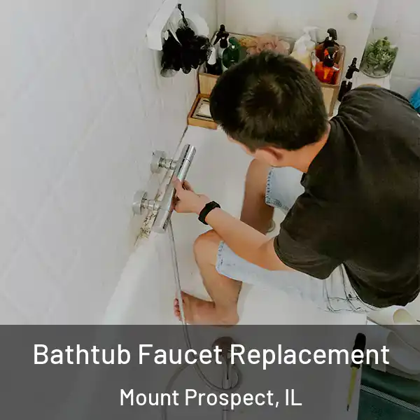 Bathtub Faucet Replacement Mount Prospect, IL