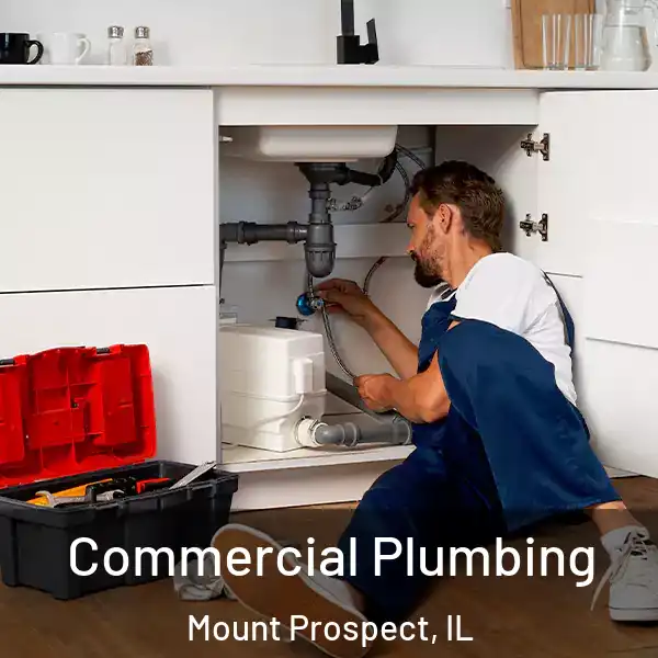  Commercial Plumbing Mount Prospect, IL