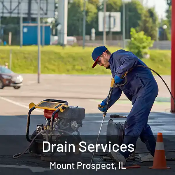  Drain Services Mount Prospect, IL