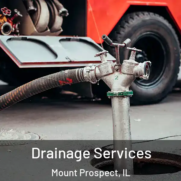  Drainage Services Mount Prospect, IL
