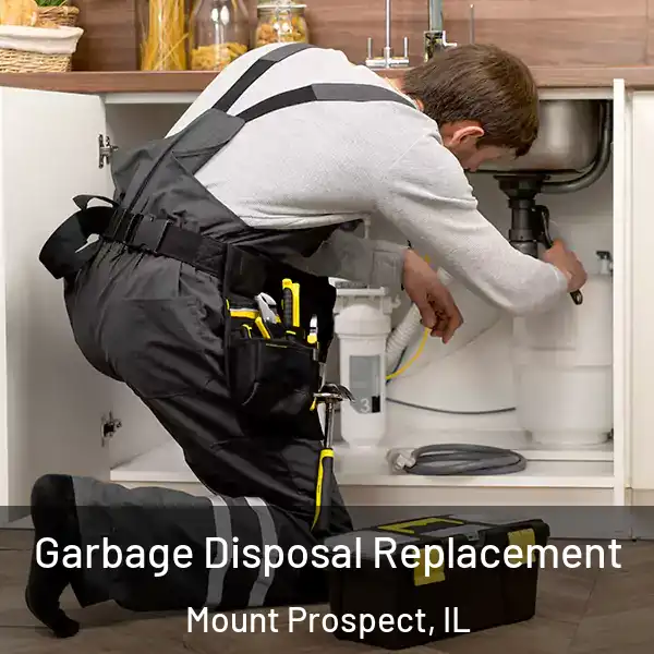  Garbage Disposal Replacement Mount Prospect, IL