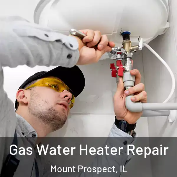  Gas Water Heater Repair Mount Prospect, IL