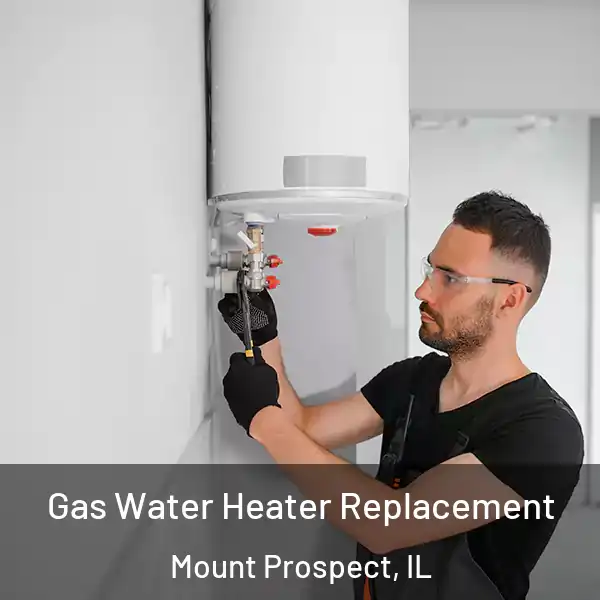  Gas Water Heater Replacement Mount Prospect, IL