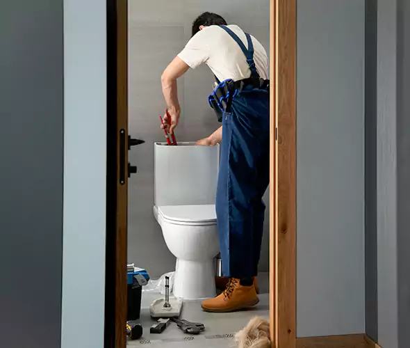 Professional Plumbers for Toilet Bowl Replacement in Mount Prospect, IL: Schedule Affordable Toilet Replacement Services With Us