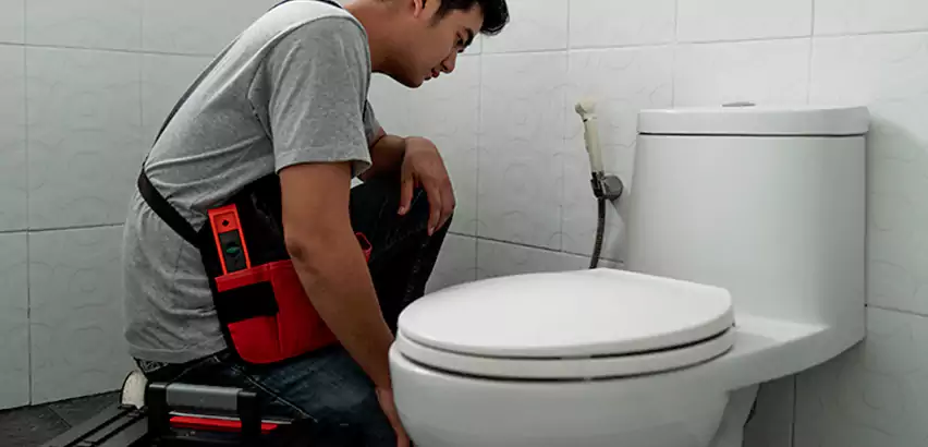 Toilet Repair in Mount Prospect