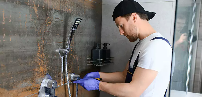 Shower Faucet Installation in Mount Prospect
