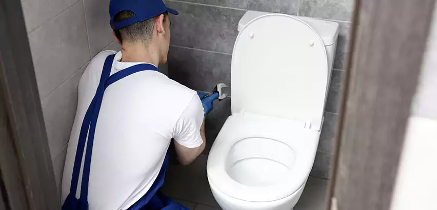 Toilet Lid Replacement in Mount Prospect