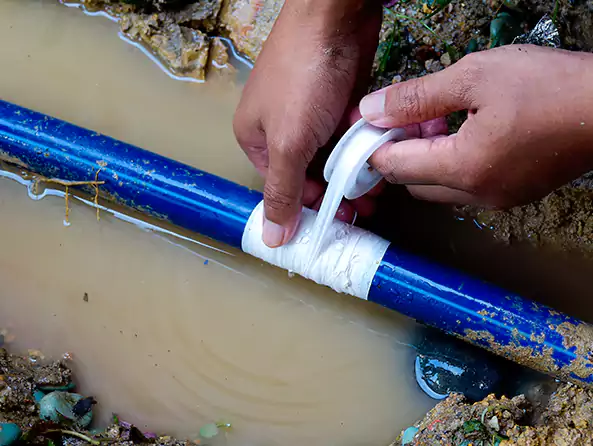  Why Choose Mount Prospect Plumbing Pro for Leak Detection in Mount Prospect, IL?]