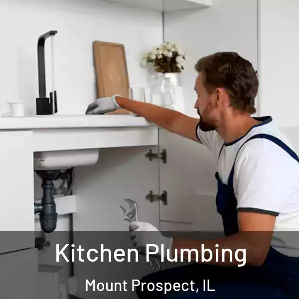  Kitchen Plumbing Mount Prospect, IL