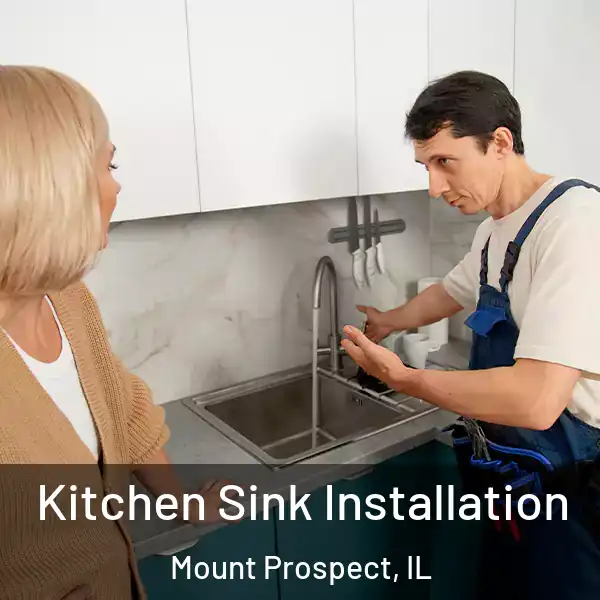  Kitchen Sink Installation Mount Prospect, IL