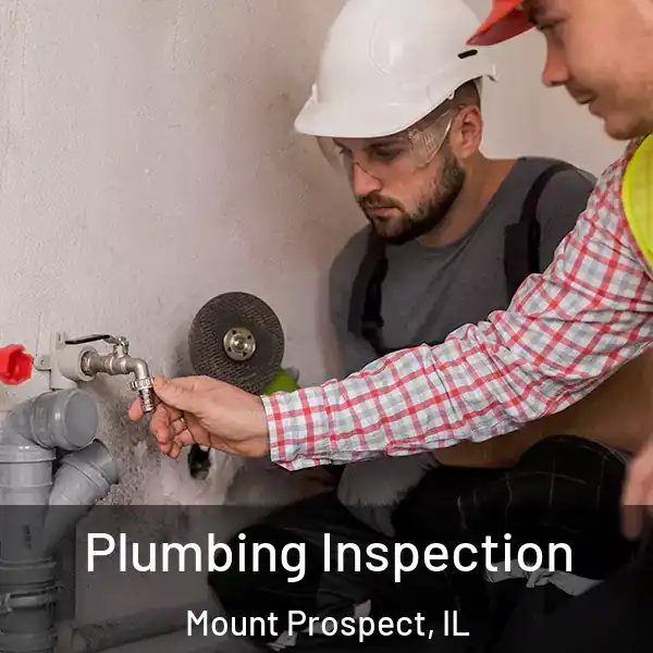  Plumbing Inspection Mount Prospect, IL