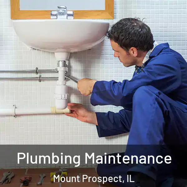  Plumbing Maintenance Mount Prospect, IL