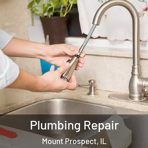  Plumbing Repair Mount Prospect, IL