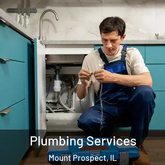 Plumbing Services Mount Prospect, IL