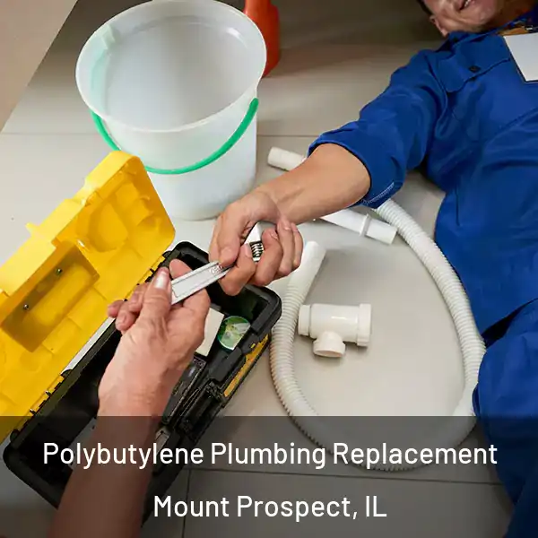  Polybutylene Plumbing Replacement Mount Prospect, IL
