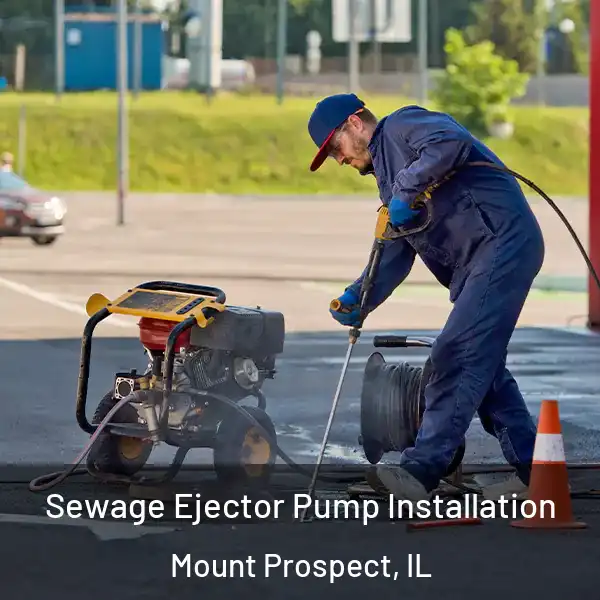  Sewage Ejector Pump Installation Mount Prospect, IL