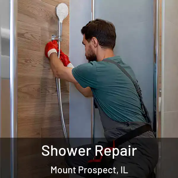  Shower Repair Mount Prospect, IL