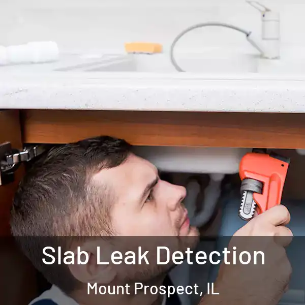  Slab Leak Detection Mount Prospect, IL