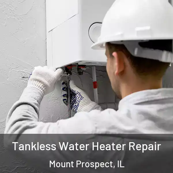  Tankless Water Heater Repair Mount Prospect, IL