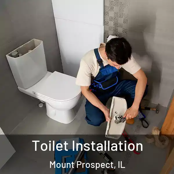 Toilet Installation Mount Prospect, IL