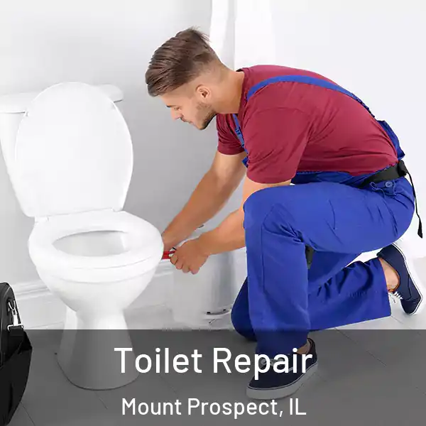  Toilet Repair Mount Prospect, IL