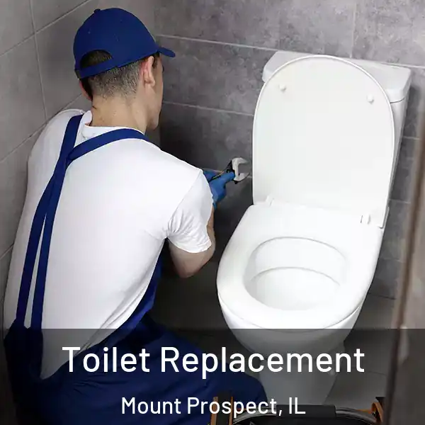  Toilet Replacement Mount Prospect, IL