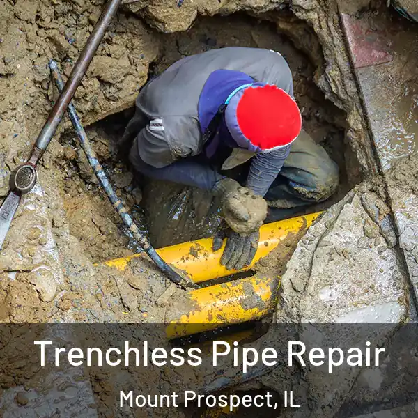  Trenchless Pipe Repair Mount Prospect, IL