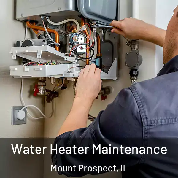  Water Heater Maintenance Mount Prospect, IL