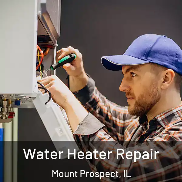  Water Heater Repair Mount Prospect, IL